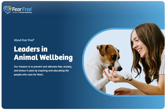 Leaders-in-Animal-Wellbeing