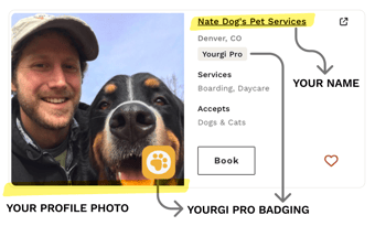 PRO Profile Example-1