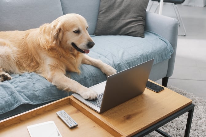 shutterstock_2179958531