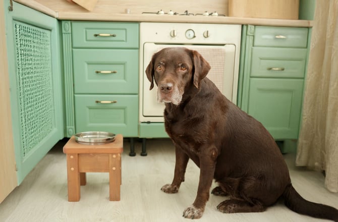 shutterstock_2523320759 copy