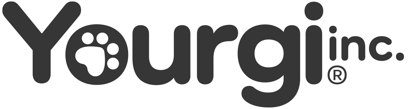 Yourgi Inc